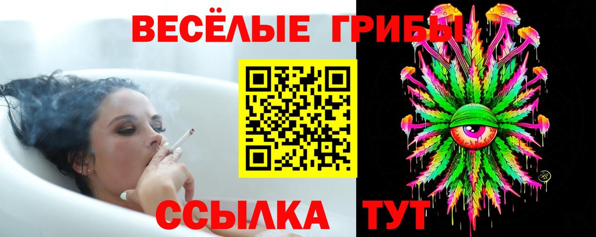 Псилоцибиновые грибы прущие грибы  Вход с VPN  Тулун  Галлюциногенные грибы мицелий 