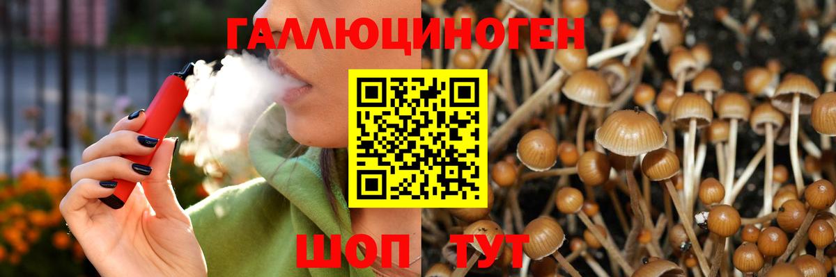 Галлюциногенные грибы Magic Shrooms Тулун