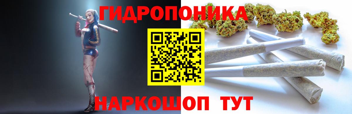 Шишки марихуана марихуана Тулун